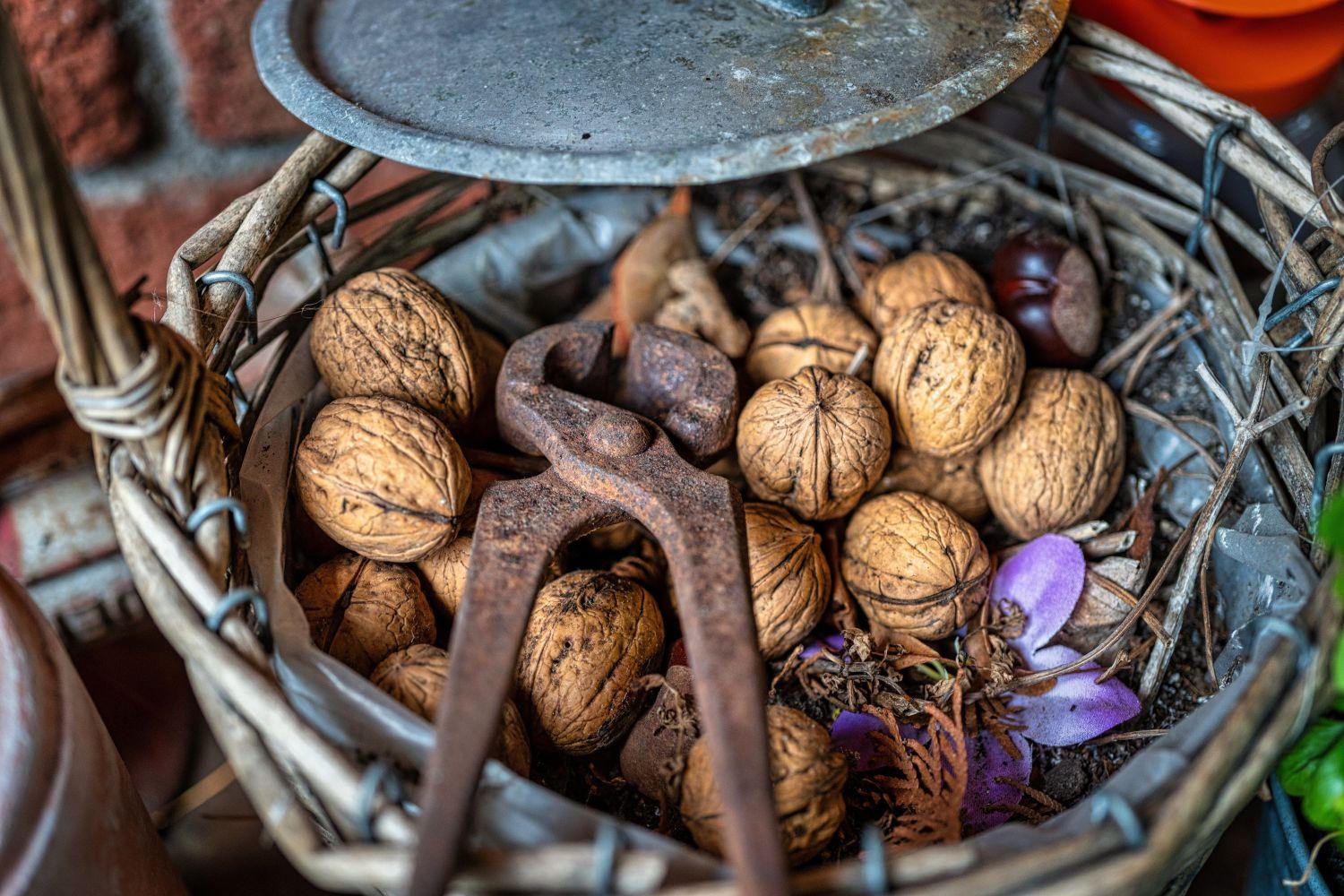 Schweizer Superfoods: Diese regionalen Lebensmittel haben es in sich 