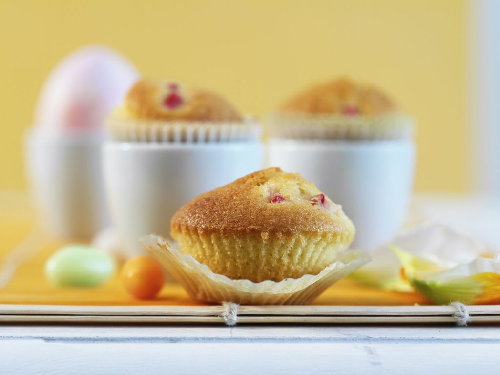 Mini-Bio-Rhabarber-Muffins