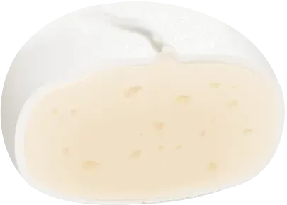 Mozarella (1)